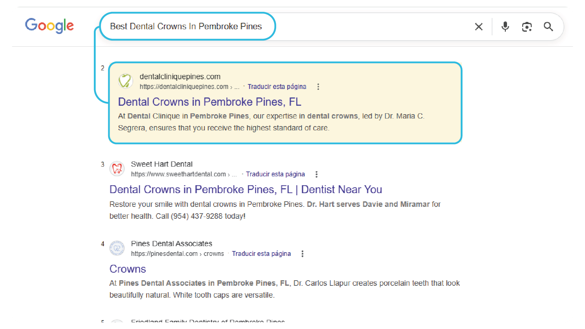 Professional SEO and Google Maps services 9