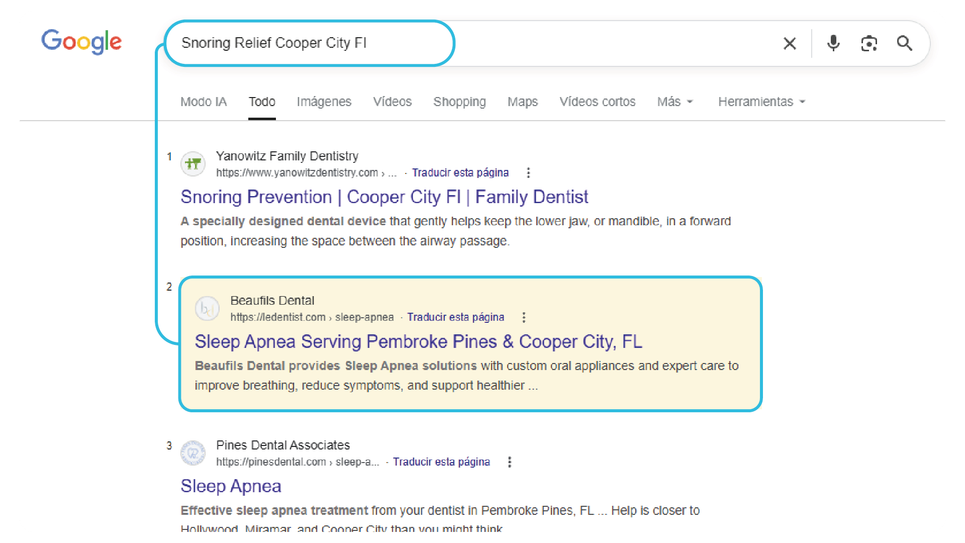 Professional SEO and Google Maps services 12