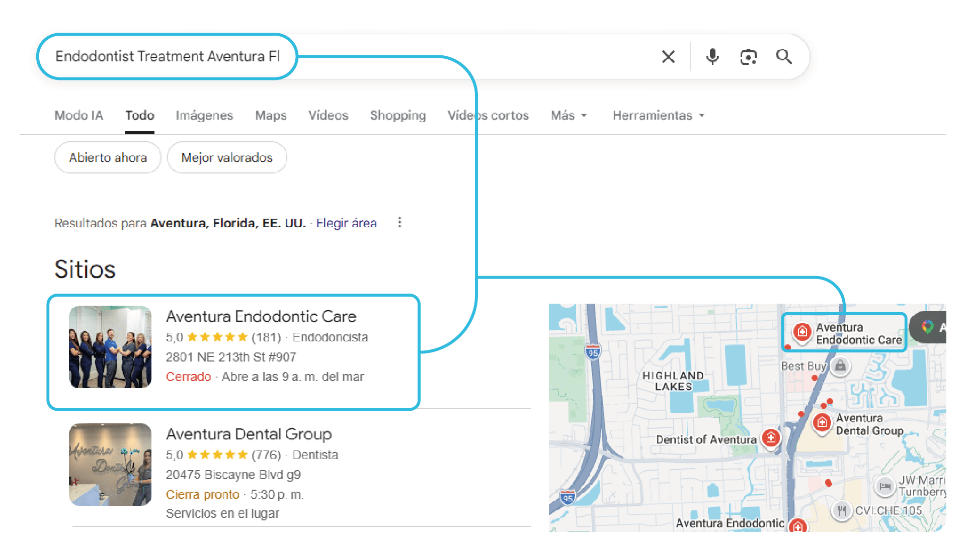 Professional SEO and Google Maps services 11