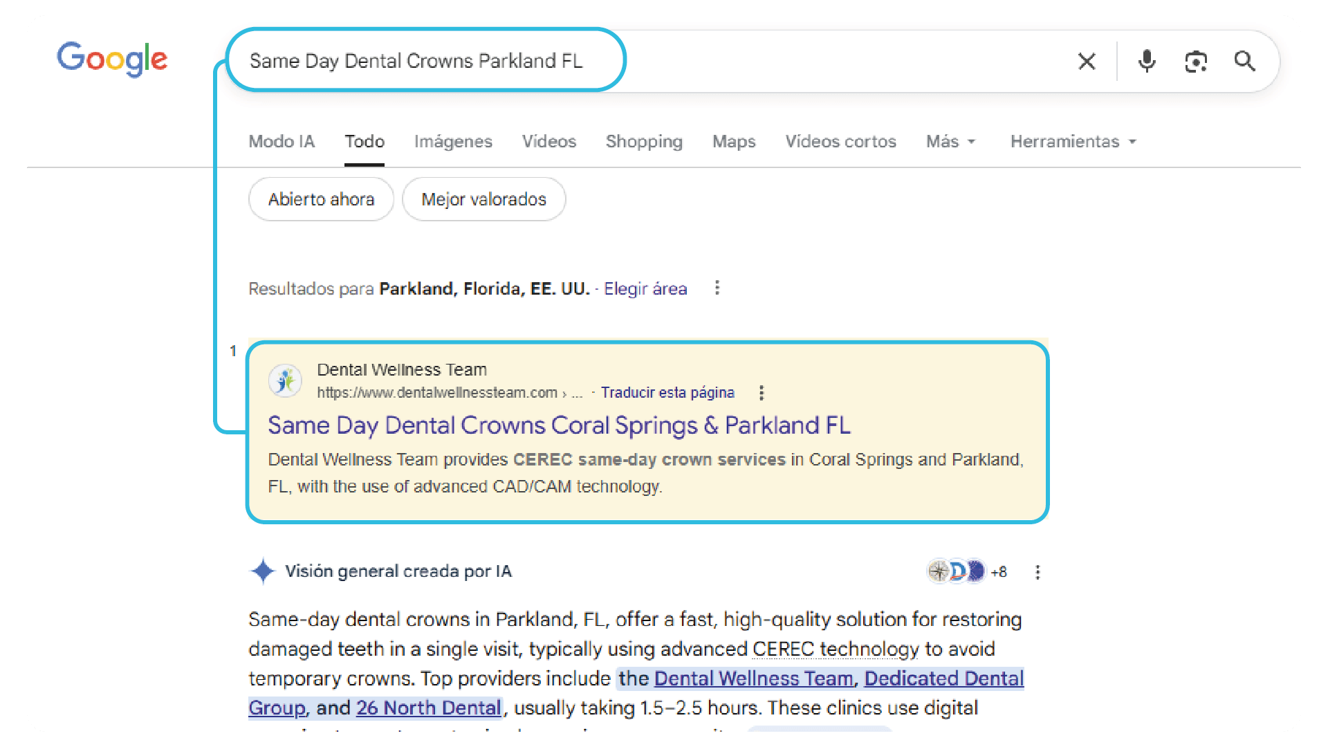 Professional SEO and Google Maps services 14
