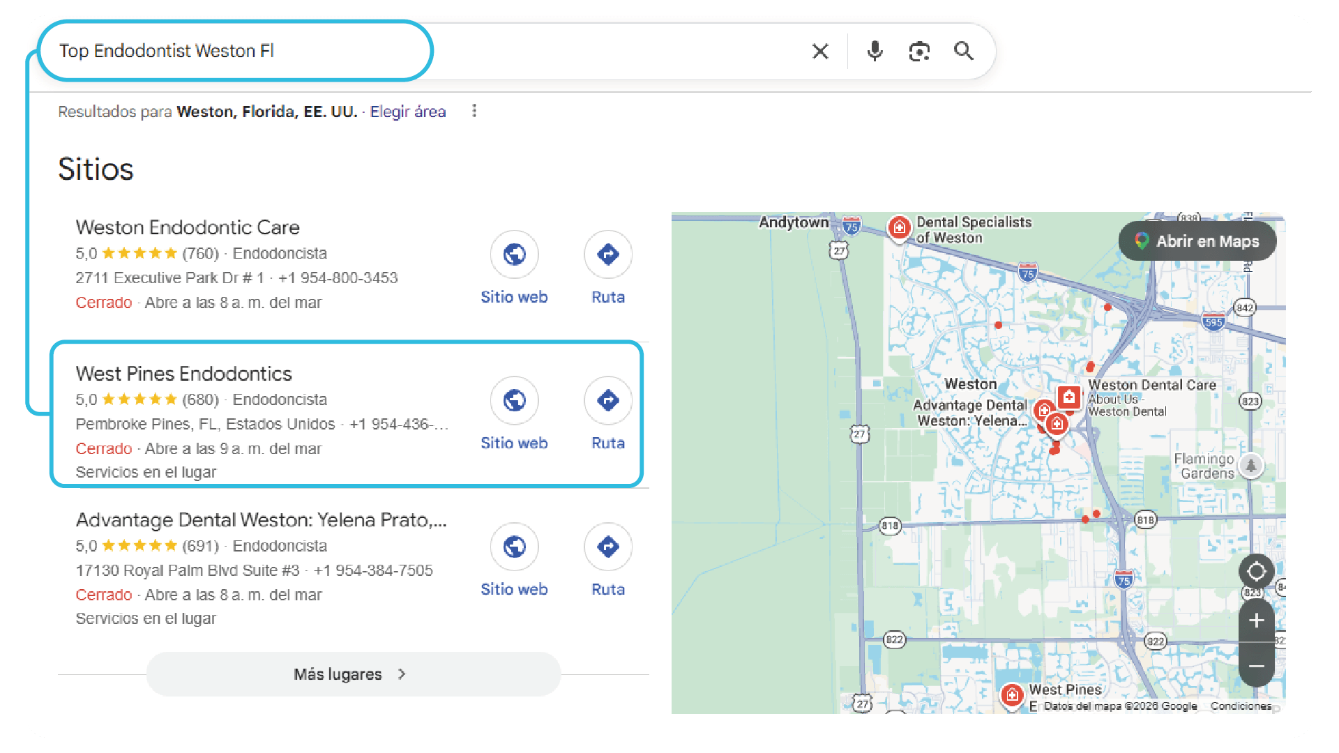 Professional SEO and Google Maps services 13