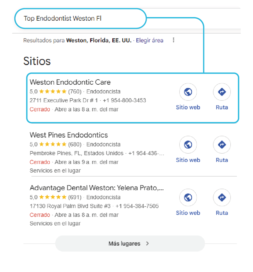 Professional SEO and Google Maps services 7