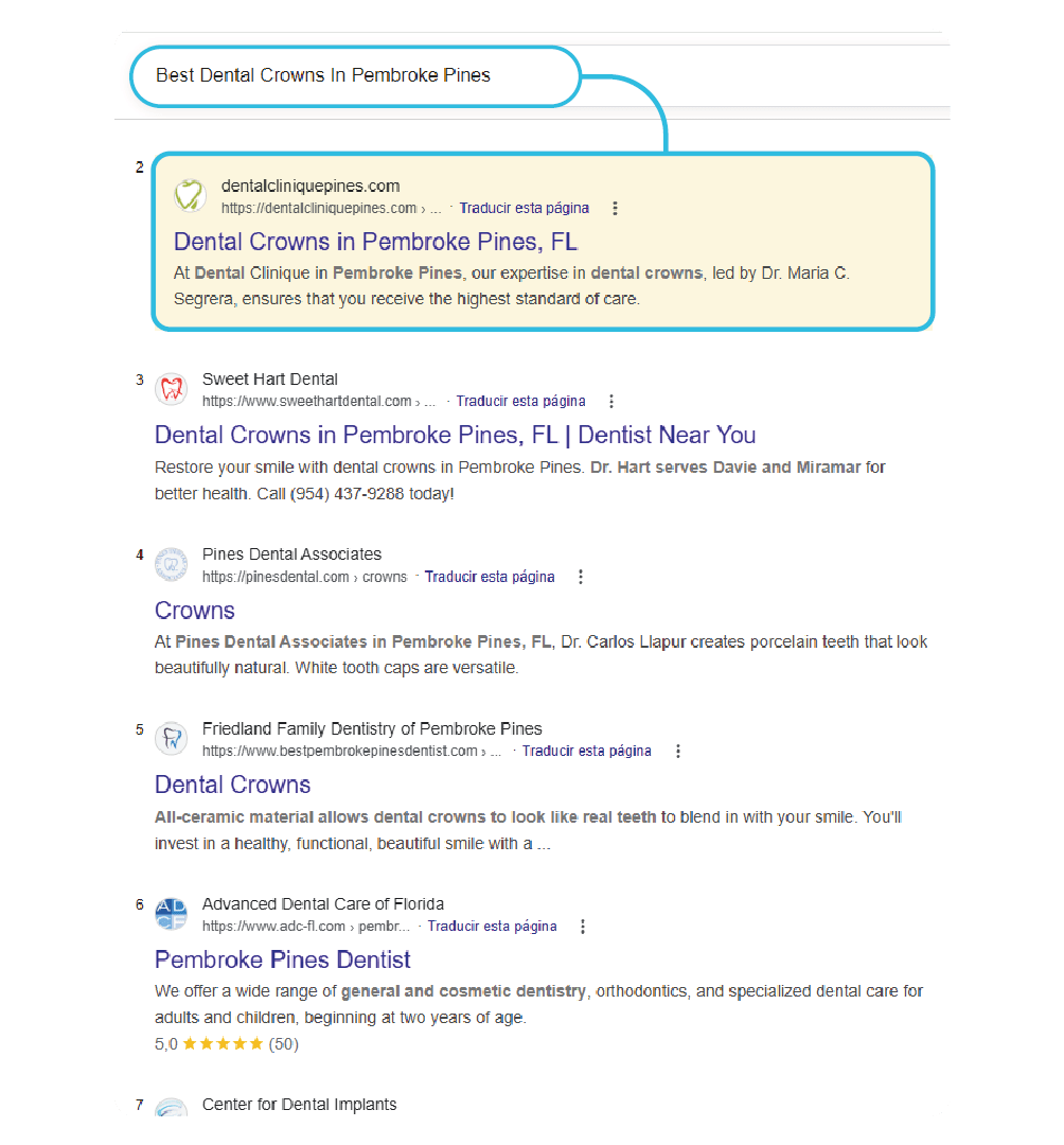 Professional SEO and Google Maps services 5