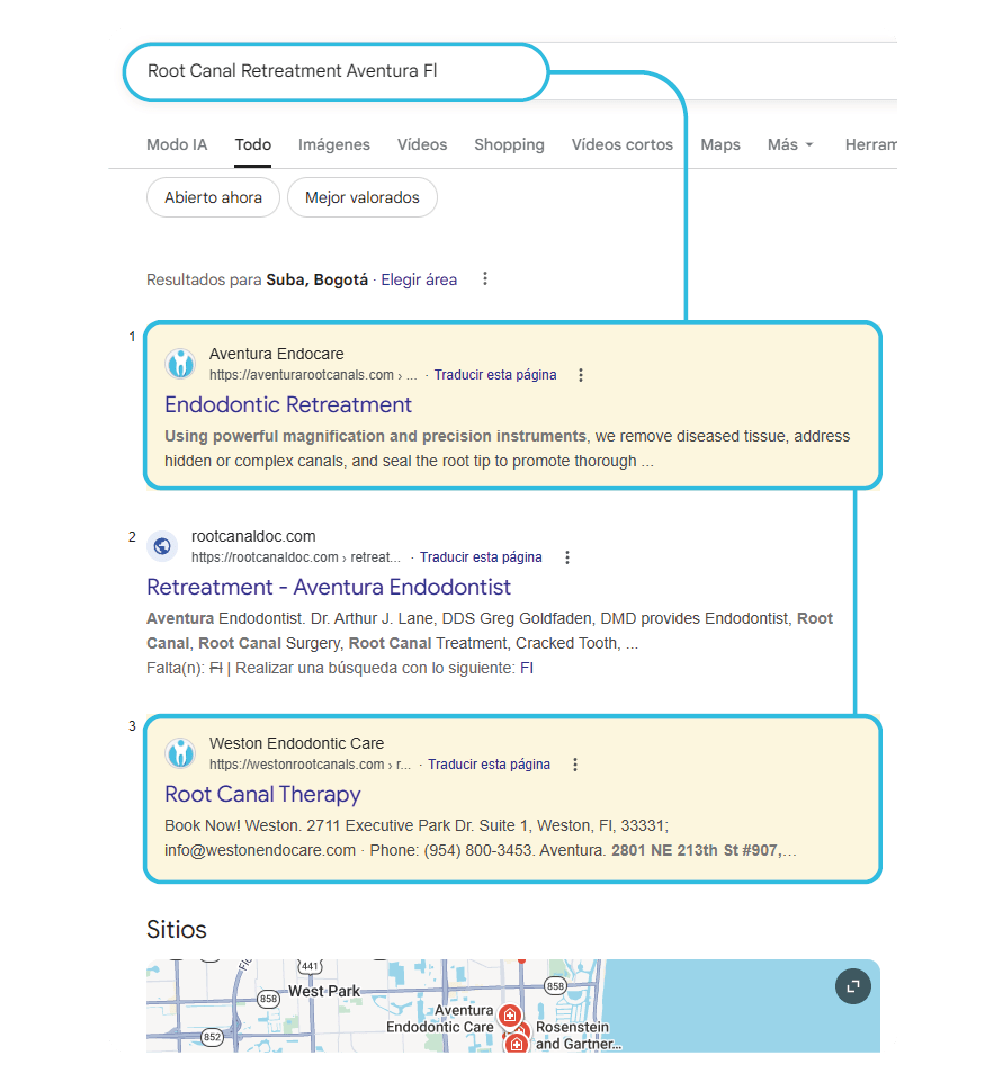 Professional SEO and Google Maps services 4
