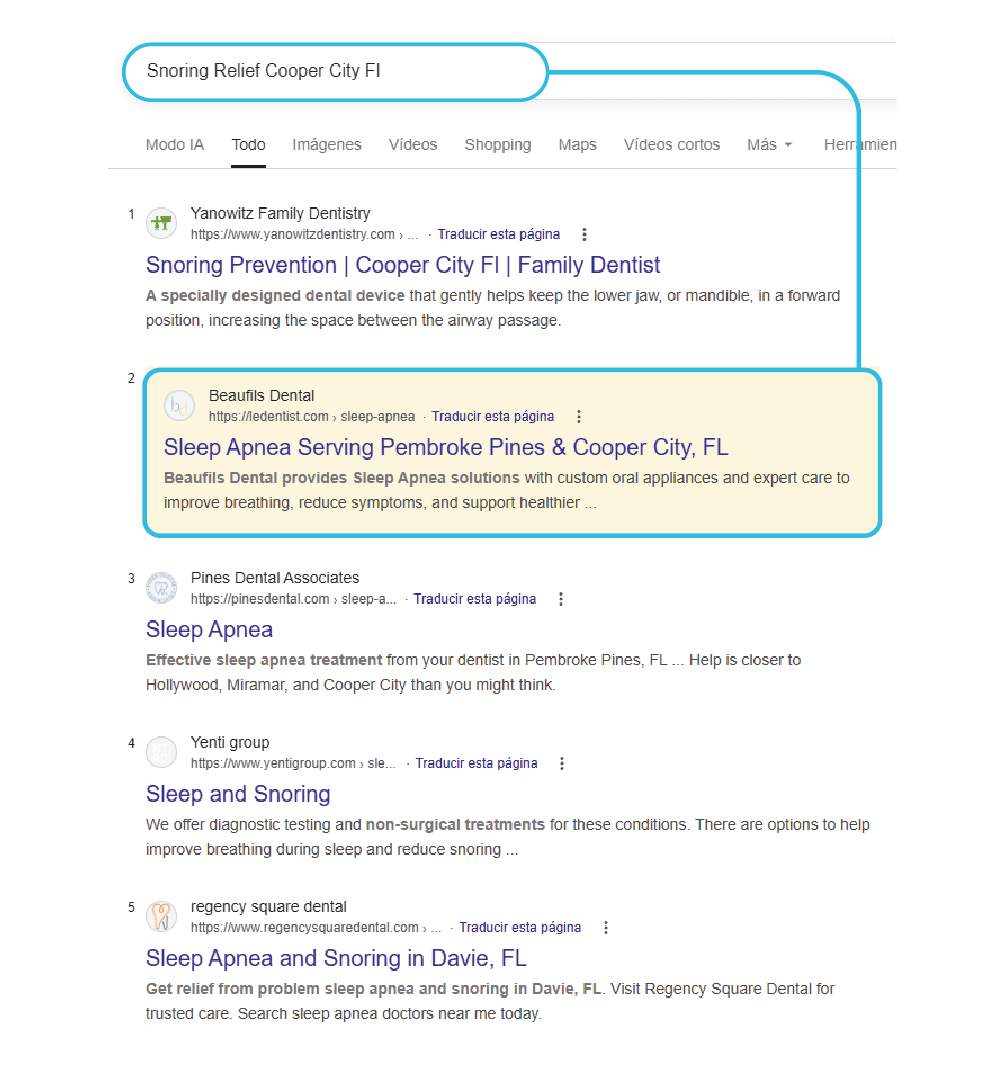 Professional SEO and Google Maps services 3