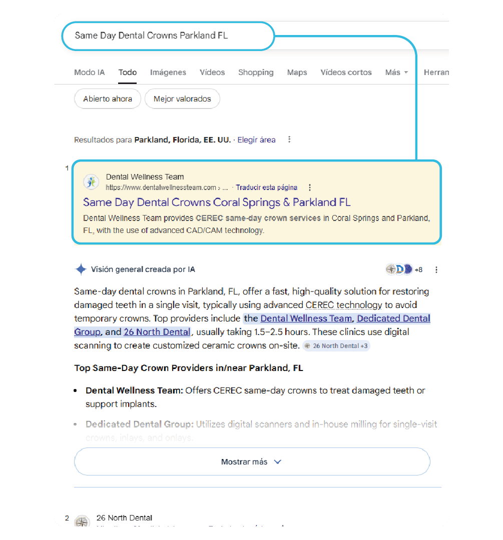 Professional SEO and Google Maps services 2