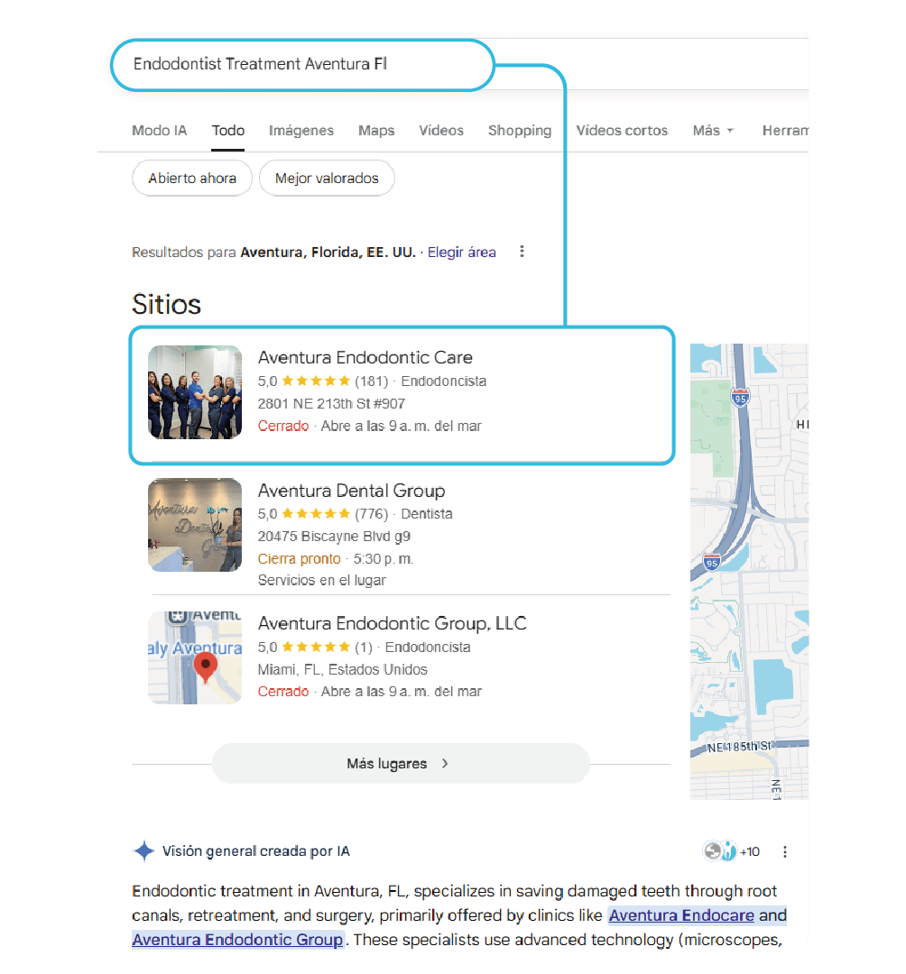 Professional SEO and Google Maps services